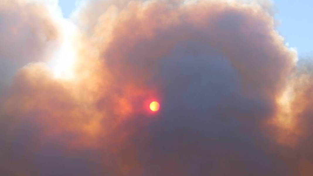 Bolu'da orman yangını 2'nci gününde! Alevler 100 hektarlık alana yayıldı 3